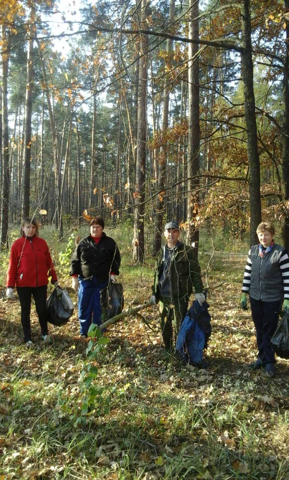 чист11