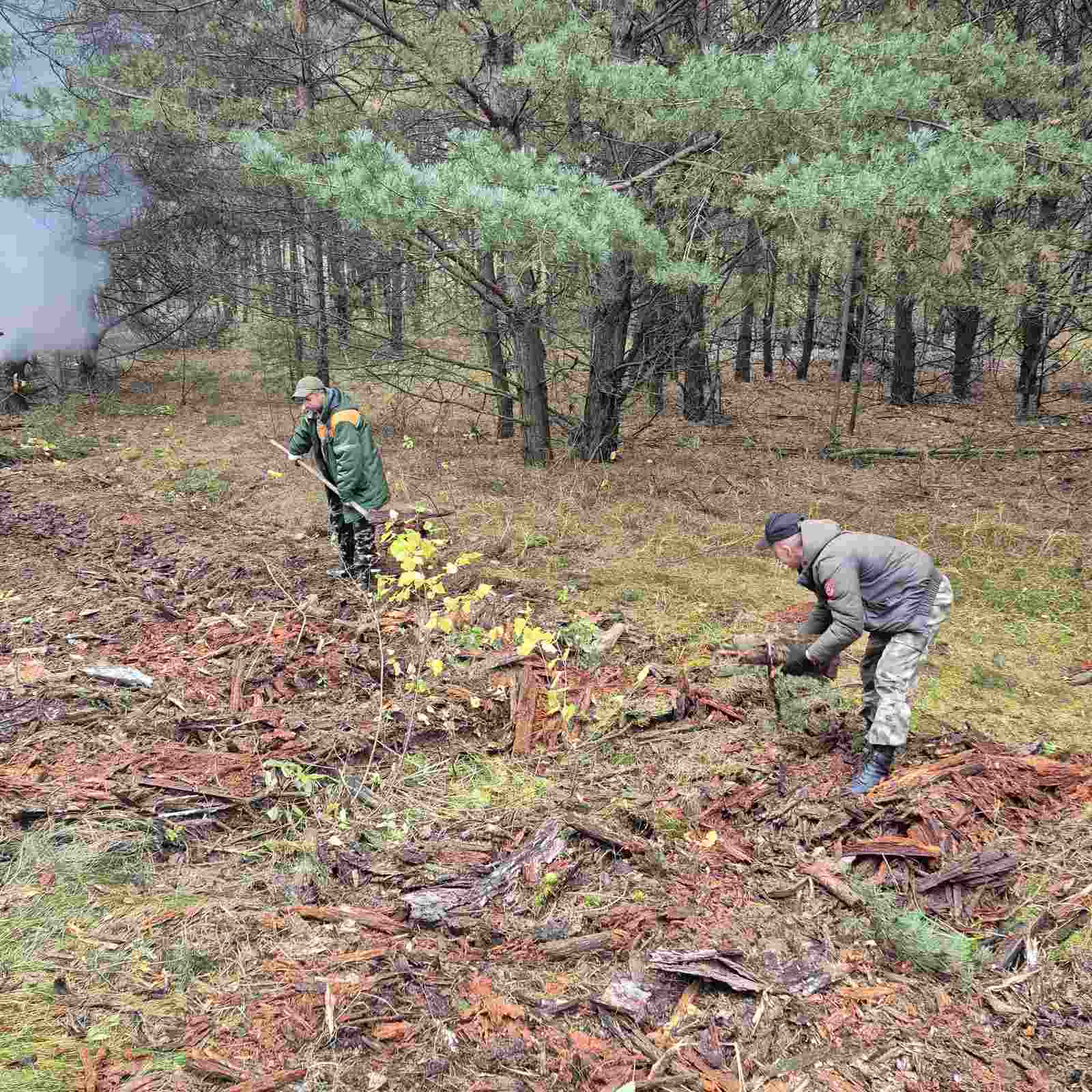 изображение viber 2025 11 03 08 50 44 838